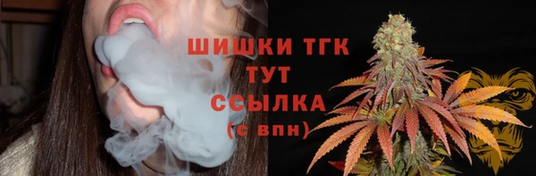 ПСИЛОЦИБИНОВЫЕ ГРИБЫ Балабаново