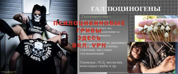 прущая мука Баксан