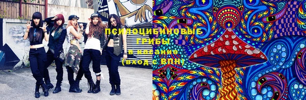 ПСИЛОЦИБИНОВЫЕ ГРИБЫ Балабаново