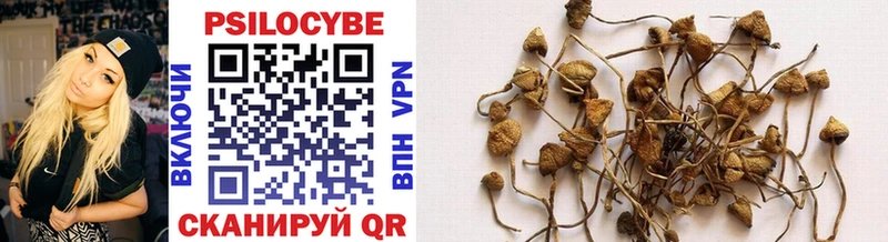 Галлюциногенные грибы Psilocybe Руза